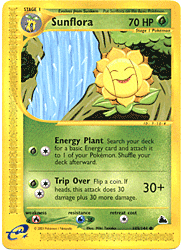 105 Sunflora